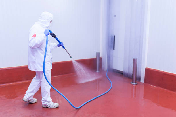 Best Solar Panel Cleaning  in Socorro, NM