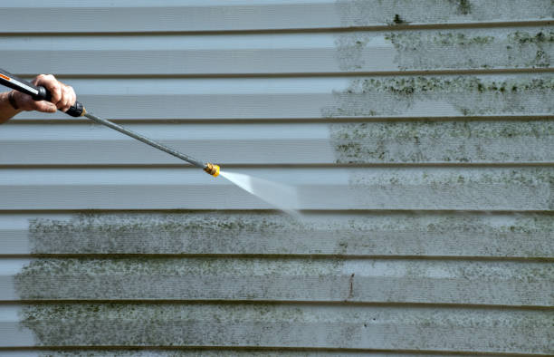 Best Driveway Pressure Washing  in Socorro, NM